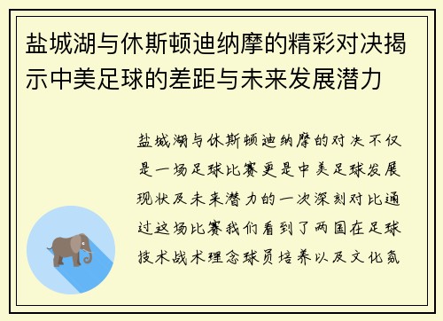 盐城湖与休斯顿迪纳摩的精彩对决揭示中美足球的差距与未来发展潜力